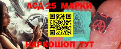 сатива Будённовск