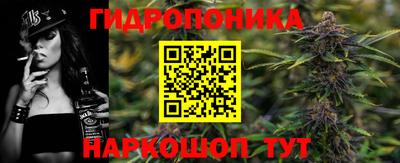 сатива Будённовск